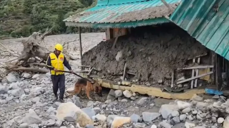 प्रभावित क्षेत्रों से 729 यात्रियों को निकाला, हर्षिल में अभी भी फंसे हैं 250 यात्री