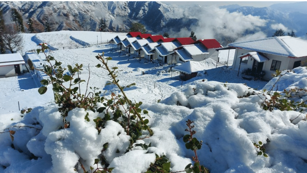 untitled design (12)